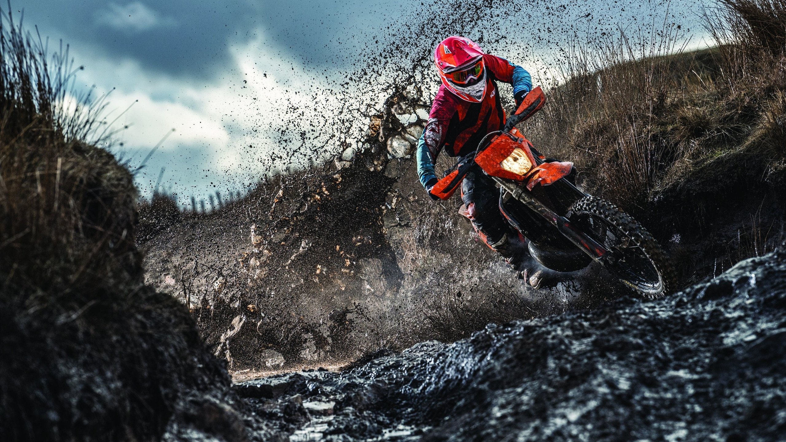 星空体育官方入口-跳水动作美感与控制并重，跳水动作细节